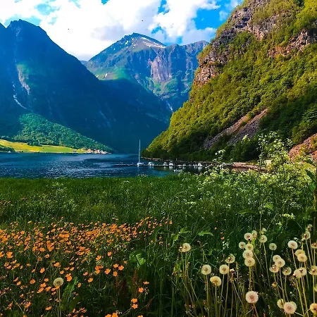 Hjorundfjord